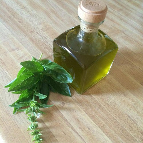 What is Tulsi Oil